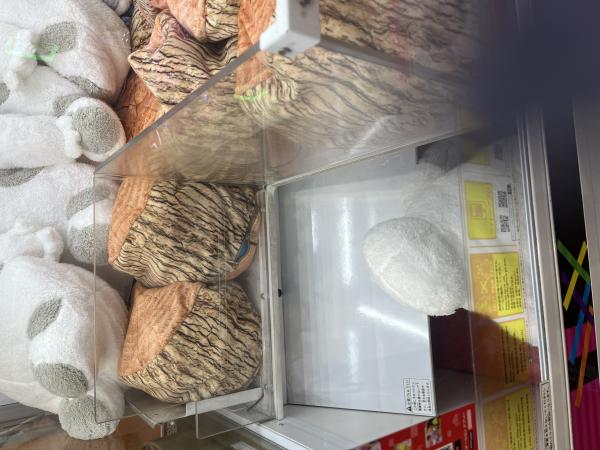 だいにだん🐈‍⬛